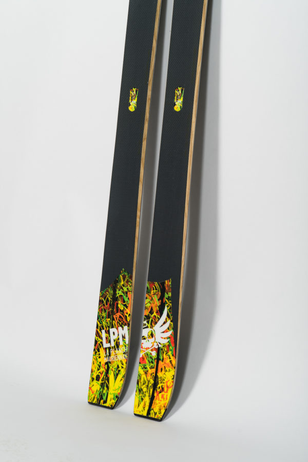 skis haut de gamme